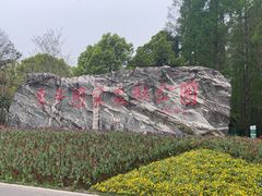 -东平国家森林公园