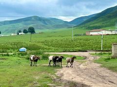 -青海湖国家重点风景名胜区