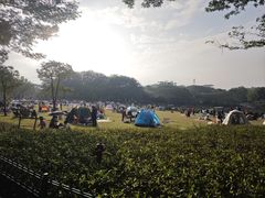 -东莞植物园