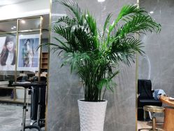 -名作·臻美Hair SaLon