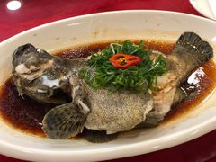 -清心鸡沙田乳鸽店·非遗传承(石溪店)