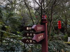 -韶关经律论国际酒店温泉