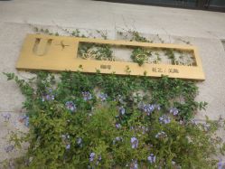 -Dr.U博士医疗美容医院