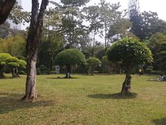 -南宁南湖公园