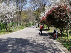 -赫记哈尔滨水饺(红庙店)