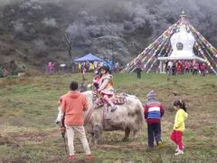 -硗碛藏寨·神木垒景区