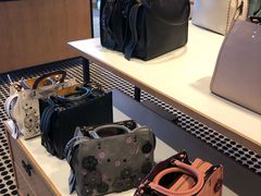 -COACH蔻驰(百联奥特莱斯广场店)