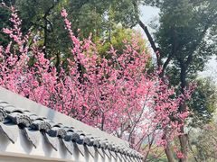-无锡梅园公园