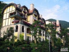 阳台望出去-深圳东部华侨城茵特拉根酒店