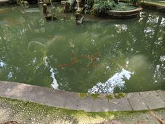 -成都杜甫草堂博物馆