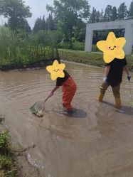 -前小桔亲子创意农场·草莓采摘·露营烧烤