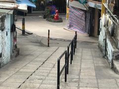 门面-猫咪博物馆(顶澳仔猫街店)