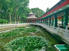 -西宁市人民公园(城西区)