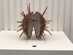 -青岛贝壳博物馆