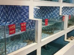 水产区-船奇蒸汽海鲜·闽菜(八市海鲜总店)