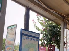 -北海金海湾红树林生态旅游区