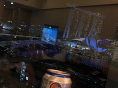 -新加坡文华东方酒店