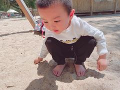 -玫瑰海岸文化旅游度假区