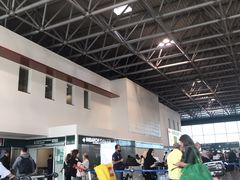 -米兰马尔彭萨国际机场