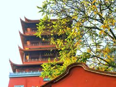 -梵天禅寺