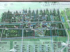 -黄海国家森林公园