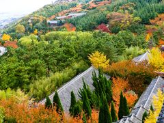 -石岛赤山风景区