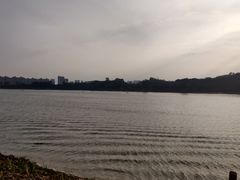 -鹤之洲湿地公园