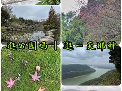-铁山坪森林公园