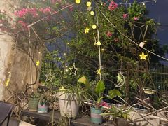 -小象钓虾·营地烧烤(洛溪店)