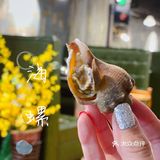 海鲜香不怕巷子深🦪🍤🐟🐚