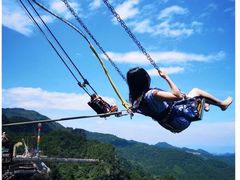 -梦幻奥陶纪景区