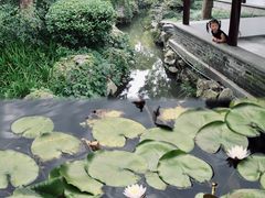-梅园