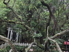 -蝴蝶泉公园