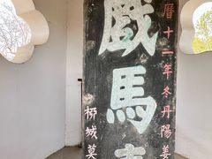 -戏马台景区