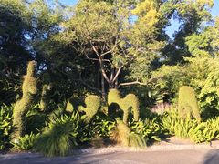 -墨尔本皇家植物园