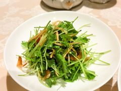 -西郊5号·Maggie 5