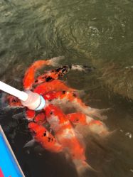 -萌宠亲子动物乐园(槐房万达店)