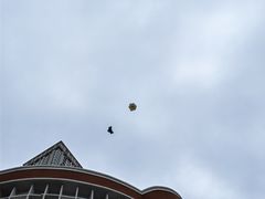 -飞马旅黎黄陂路文旅街区