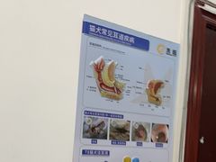 -科道动物医院·急重症中心(万达院)
