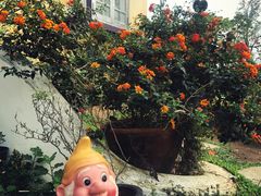 -黄色小屋