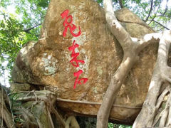 -东莞市大岭山森林公园