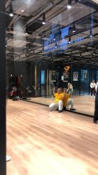 -G-STEPS舞蹈工作室