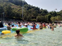 -重庆海昌加勒比海水世界