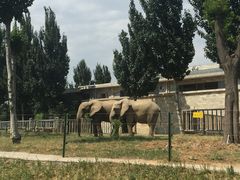 -石家庄市动物园