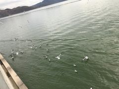 -南诏风情岛