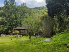 -素山寺森林公园