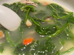 上汤桑叶-新兴·金羊座·粤菜点心(乐峰店)