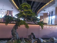 -马家斑.鲜鱼火锅(松湖万科店)
