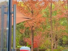 -星巴克(宝山万达店)