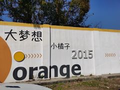 -前小桔亲子创意农场·草莓采摘·露营烧烤